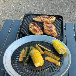 Enough chicken for three meals.