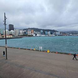 Windy Wellington