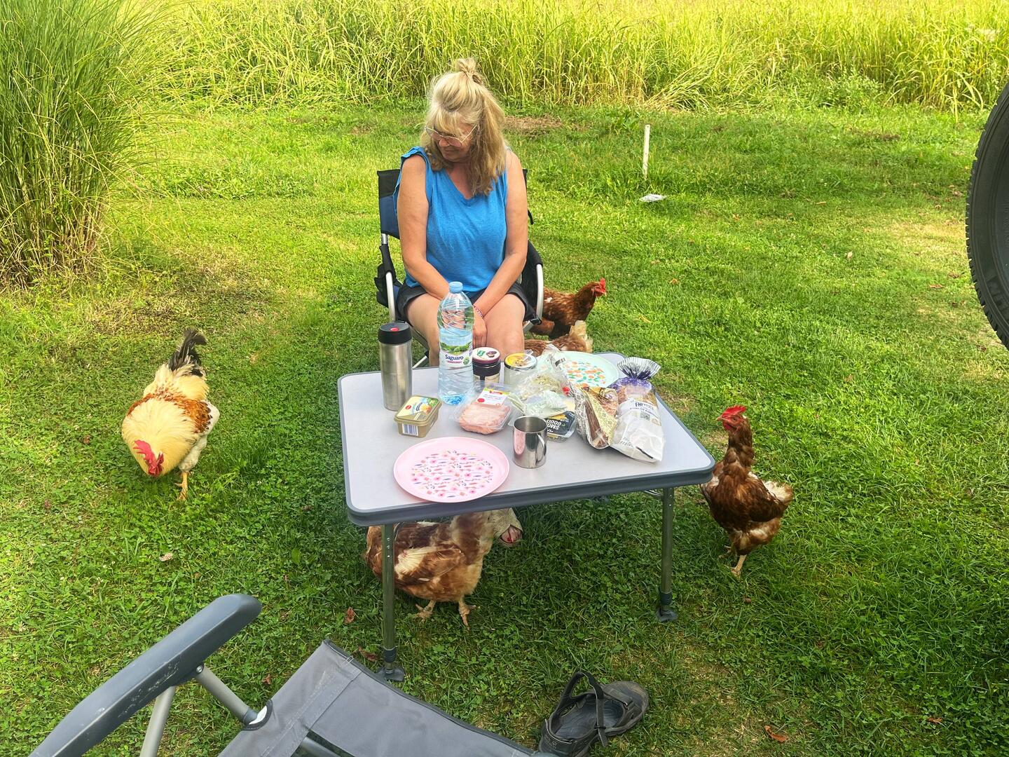 Frühstück mit Gästen. Sind hier sehr zutraulich.