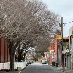 Tree lined streets and heritage buildings
