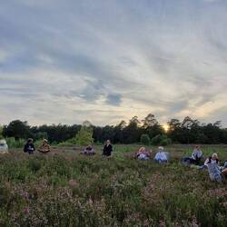 Lesung inmitten der Heide