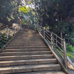 Viele Treppen🙈