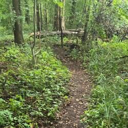 So war der Weg teilweise
