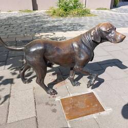 Bela's Hund. Der Stadthund, der leider 1999 überfahren wurde.