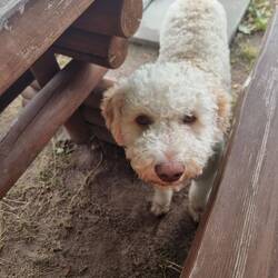 ....mit ihm geteilt😆