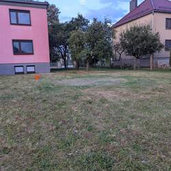 Leerer Garten :-(