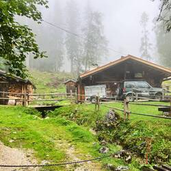 Die Enzian-Brennhütte im Nebelwald