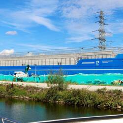 Ein Regenrückhaltebecken von der Renaturierung.