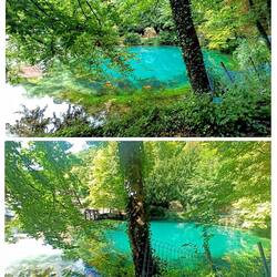 Bovenste is van gisteren, onderste van vandaag met zonnetje