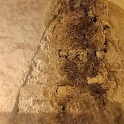 Vrouwfiguurtje op de muur, zie je het? In het midden liggend