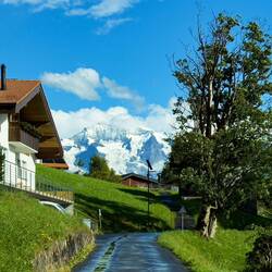 Oh my ... what a rewarding view — Waldegg, Switzerland.