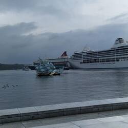 Scarred for life from the cruise .boats birds and iceberg monument