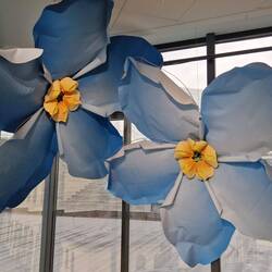 Forget me not flowers represent peace here..these are giant paper craft ones