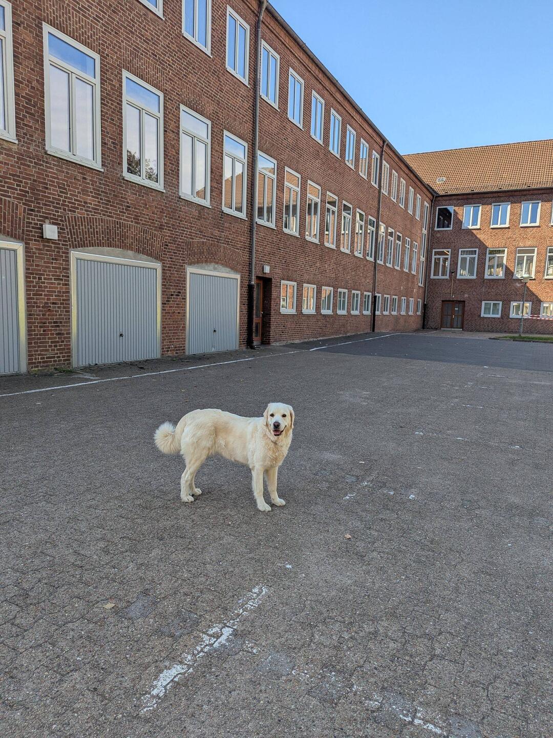 Agentur für Arbeit Rendsburg