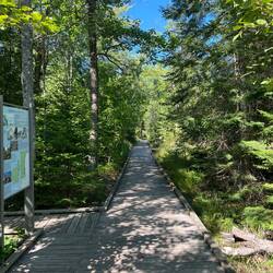 The trail on Sand Island is on a very nice boardwalk!