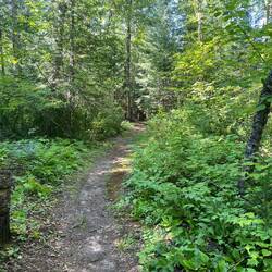 There's still about 1/2 mile trail without the boardwalk. Yet.