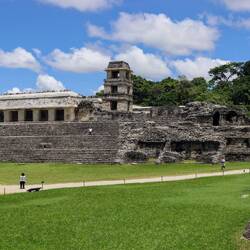 Remains of a Mayan palace in Palenque. Note the observation tower.