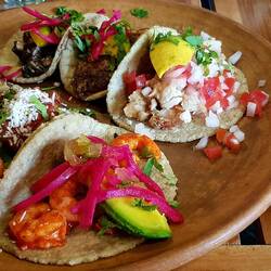 Tacos brunch. All varieties: shrimp, fish, octopus, pork, beef. We ordered six and then six more. :)