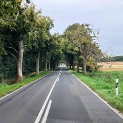 Strecke die immer wieder durch tief hängende Alleen führt, Ziel Sellin
