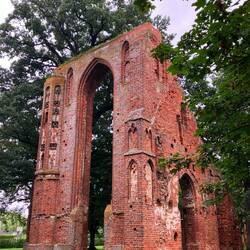 Klosterruinen Eldena in Greifswald