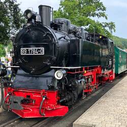 Begrüsst werden wir vom "Rasenden Roland"