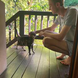 De appartementpoes, Minette