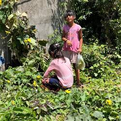 Zwei Mädels die am Straßenrand Gurken sammeln