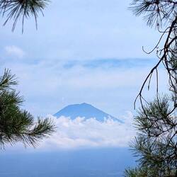 Blick vom Tenjō
