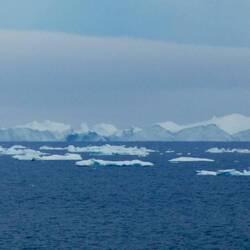 Lots of ice.