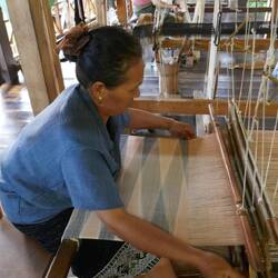 Exquisite embroidery grows at 1 cm per hour