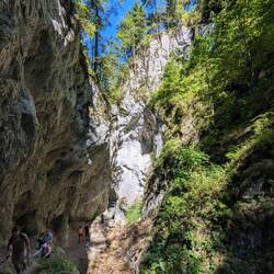 Aż do samego końca