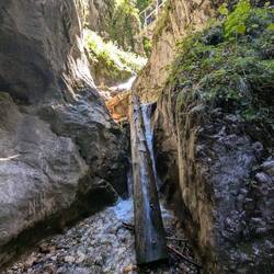 Gdyby ktoś spadł z drabiny...