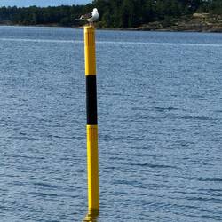 Finnische Topzeichen