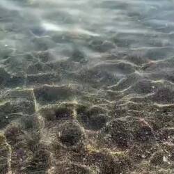 Tanzende Sterne und feine Lichtlinien