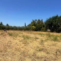 Hier würde das Haus stehen...