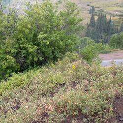 Rounding Windy Point (see video)