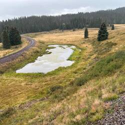 At Tanglefoot Curve, the train almost scribes a full circle