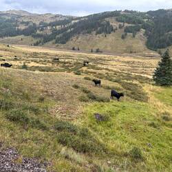 Another high-country ranchland vista