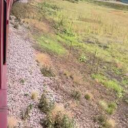 Pushing up the Wolf Creek Valley toward Windy Point