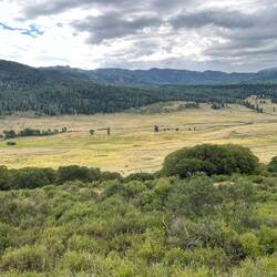 More ranchland scenery
