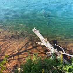 Interesting color change