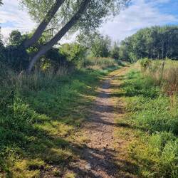 Der Holperiweg Richtung Boltenhagen