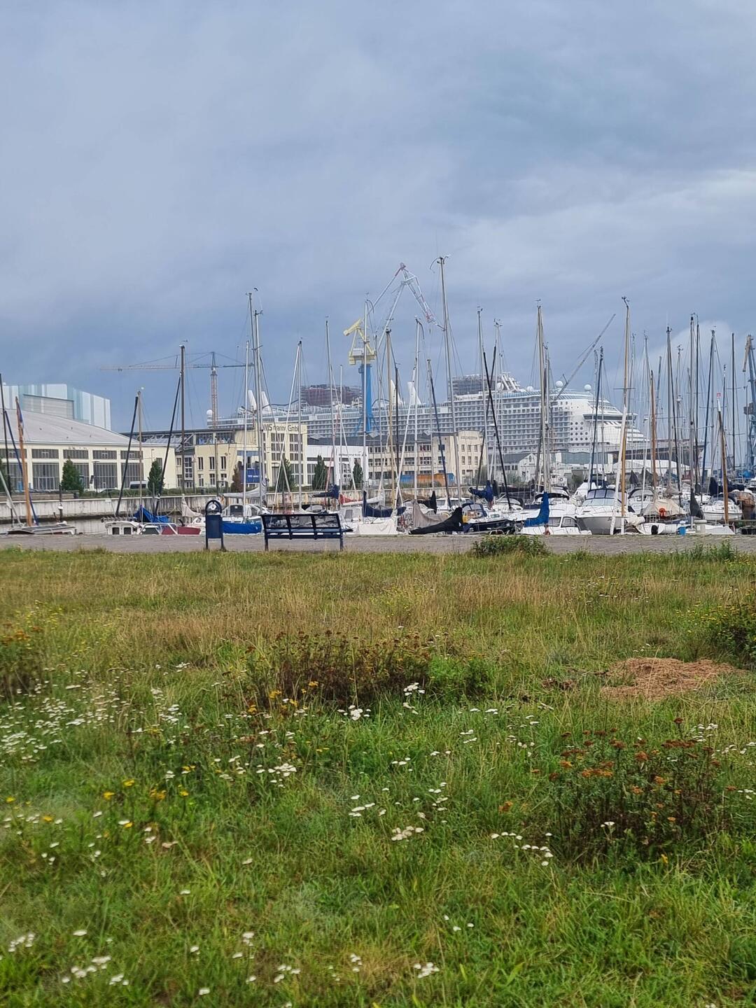 Kreuzfahrtschiff im Hafen