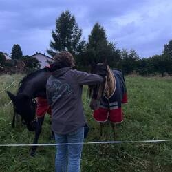 Der Schlafanzug für die Pferde