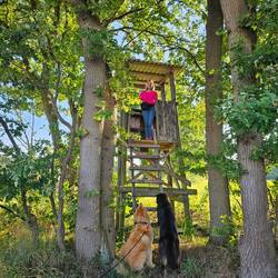 Gabi auf dem hochsitz