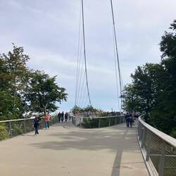 Mit Schrägseilen getragenes Oval von 185m Länge