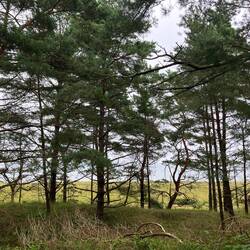 liegt alles direkt am Strand