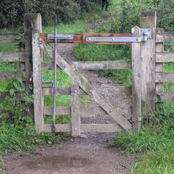 These are throughout the pastures. They are often a challenge to open!