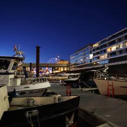 Sternenklarer Himmel für das große Höhenfeuerwerk (... und für die Demonstranten)