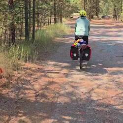Great American rail trail through the woods